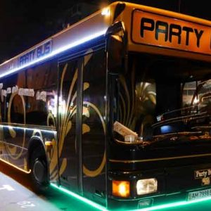 1461661491_1460673148_partybuskiev