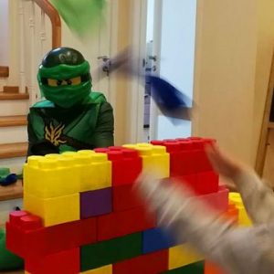 animator-lego